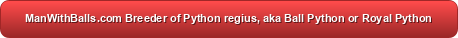 ManWithBalls.com Breeder of Python regius, aka Ball
          Python or Royal Python